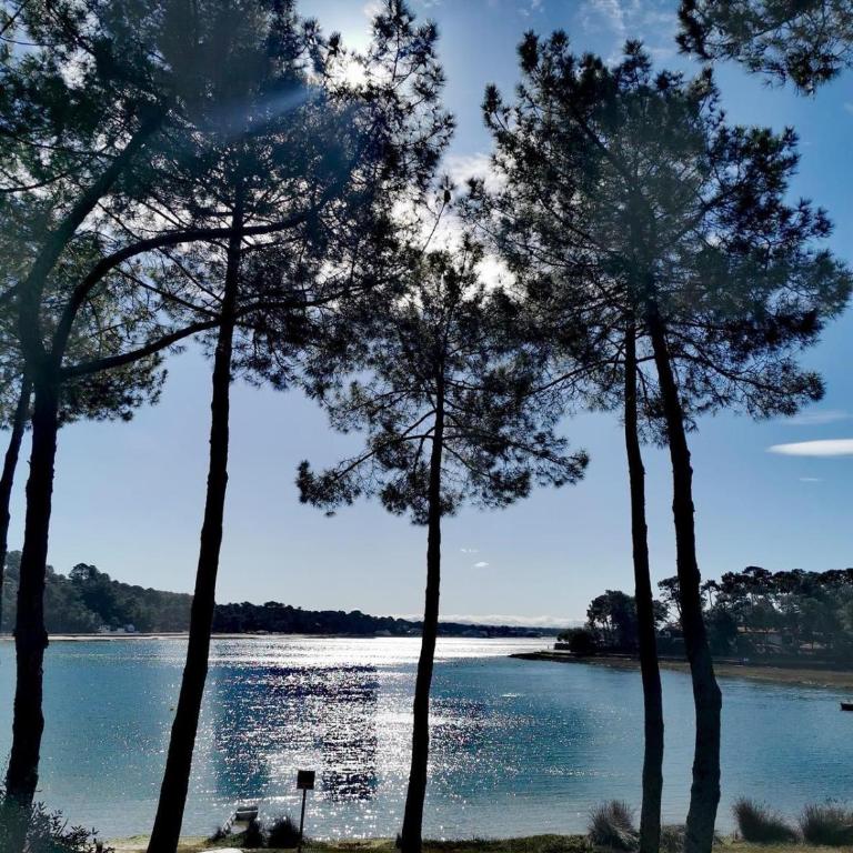 Appartement HOSSEGOR plage SUD Classé 3 étoiles - Apartment mit 2 Schlafzimmern - 53