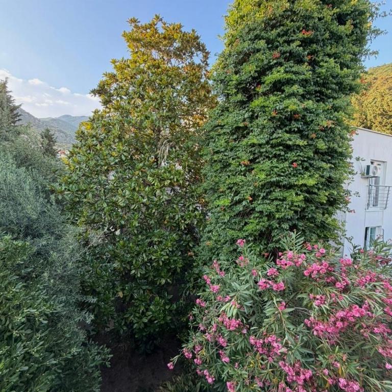 Apartman Budva - Apartman sa 1 Spavaćom Sobom - 13