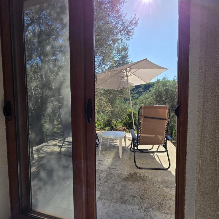 Olive stone house, Ulcinj - Vikendica - 10