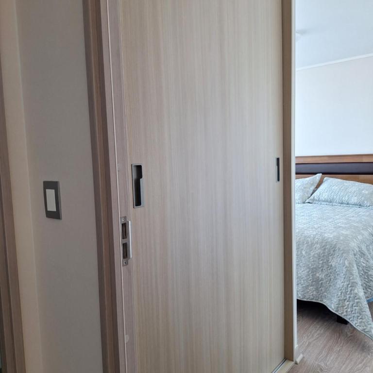 Futuro Angol - Two-Bedroom Apartment - 2