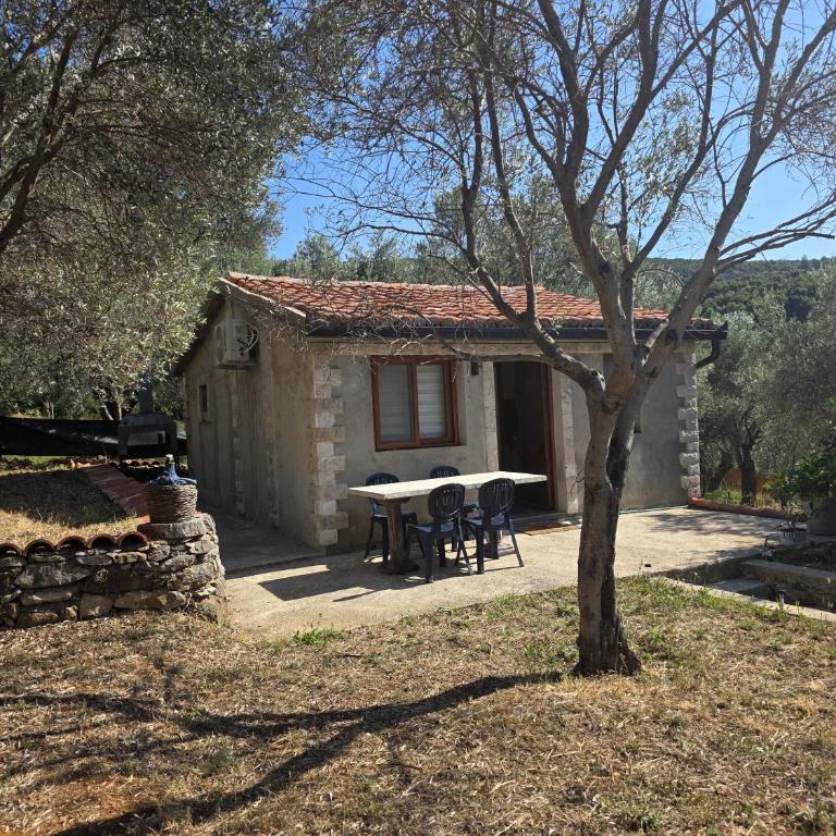 Olive stone house, Ulcinj - Vikendica - 1