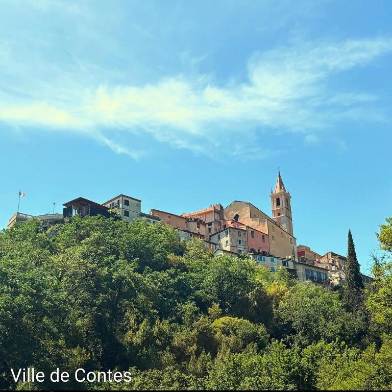 L'olivier de Jeanine - Appartement 1 Chambre - 13