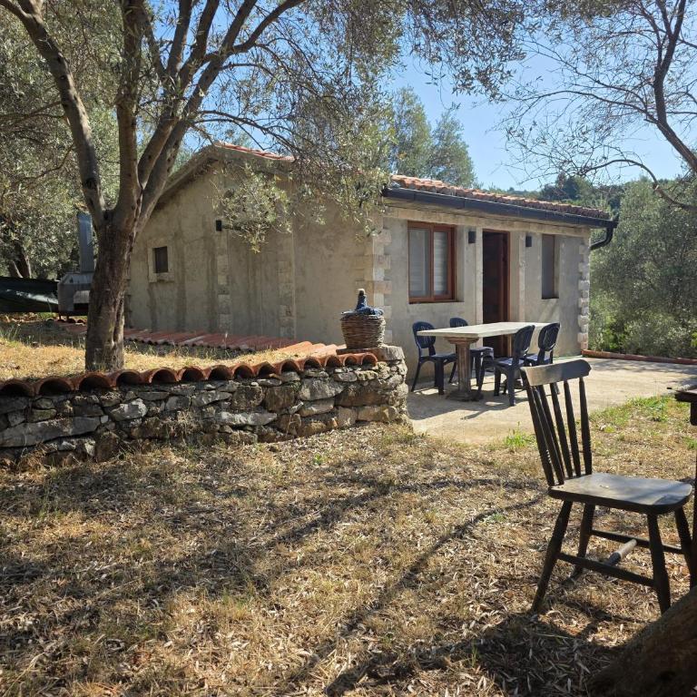 Olive stone house, Ulcinj - Vikendica - 8
