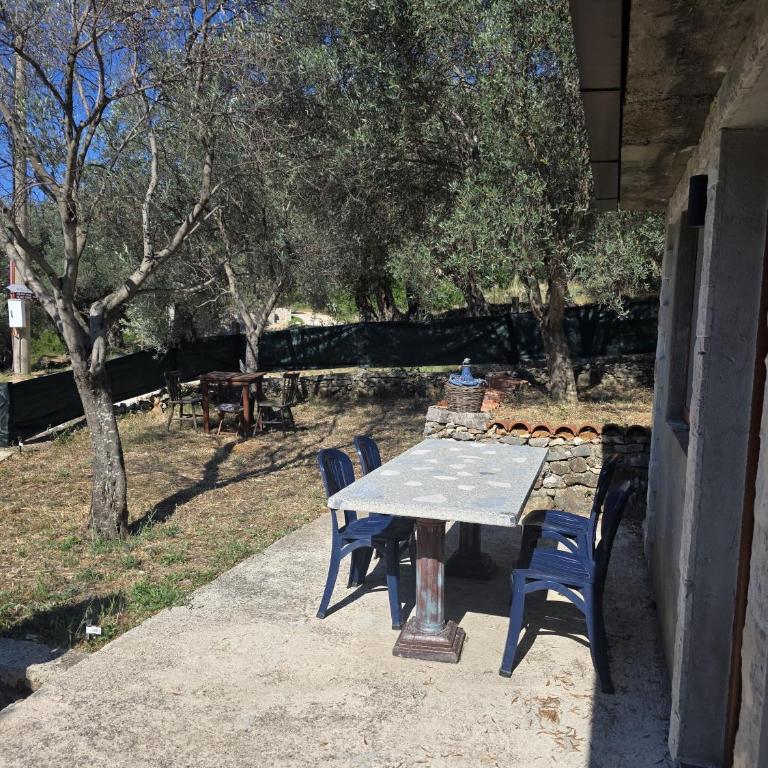 Olive stone house, Ulcinj - Vikendica - 6