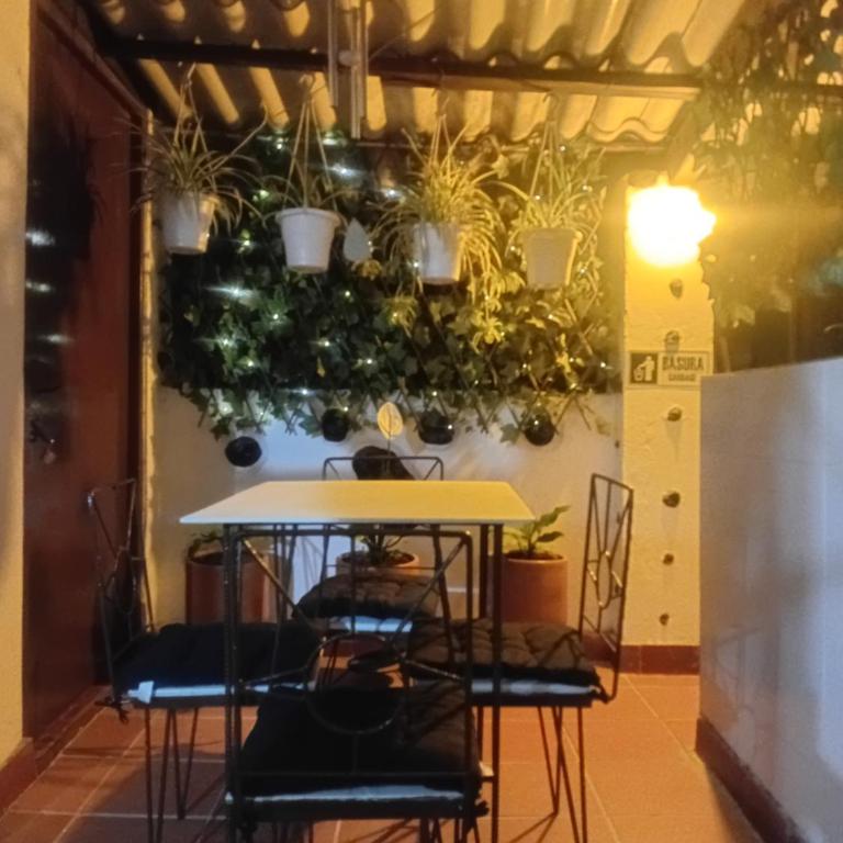 Apartamento Eucalyptus - Apartamento - 29