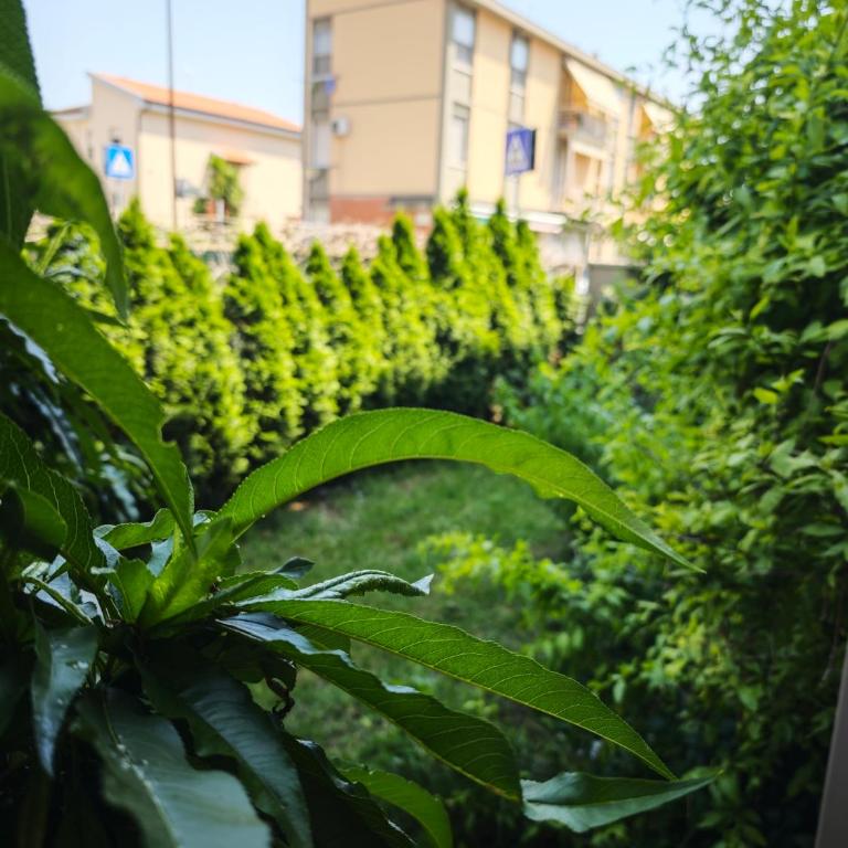 La Casina a Tramontana - Appartement 1 Chambre - 3