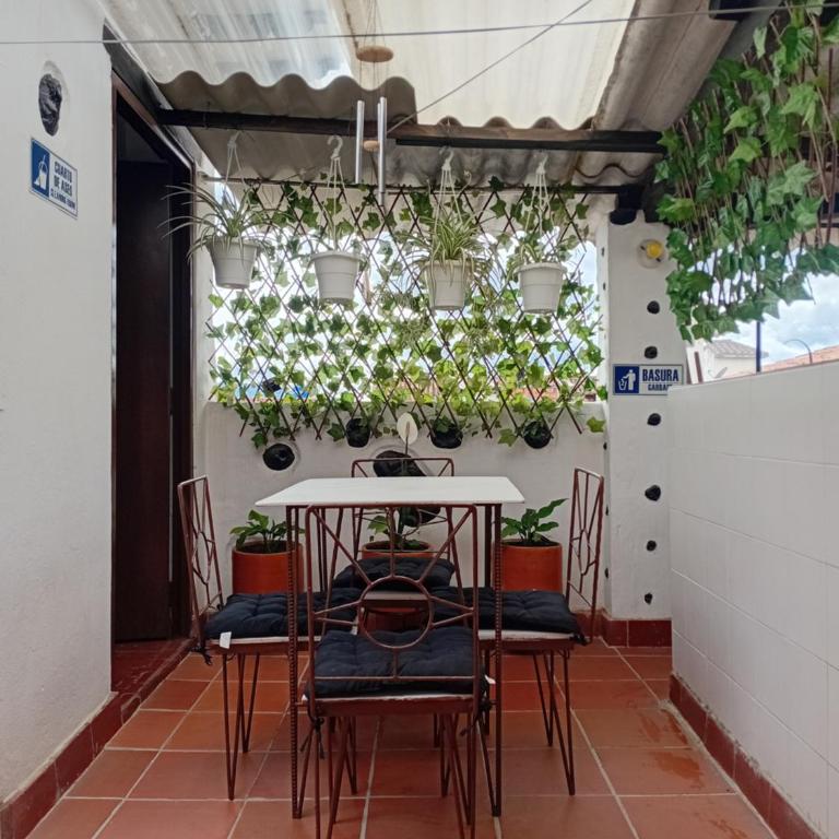Apartamento Eucalyptus - Apartamento - 30
