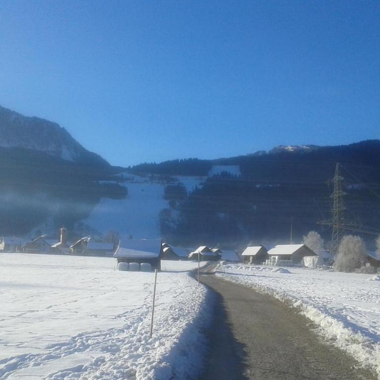 Ferienwohnung-Nassfeld-Haus Umschaden - Apartment mit Blick auf die Berge - 32