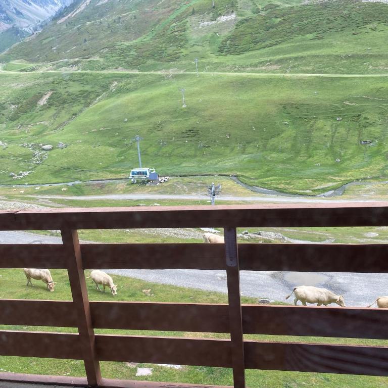 T2 Pic du Midi - balcon panoramique - Appartement 1 Chambre - 5