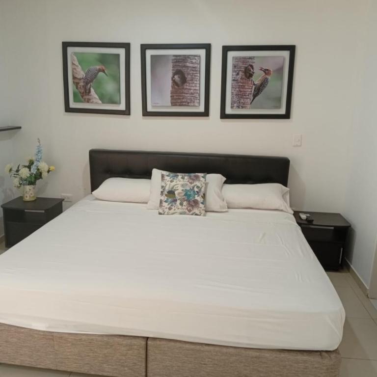 Hotel Campestre y Centro de Convenciones Saman Del Rio - Habitación Doble Superior con terraza - 1 o 2 camas - 6