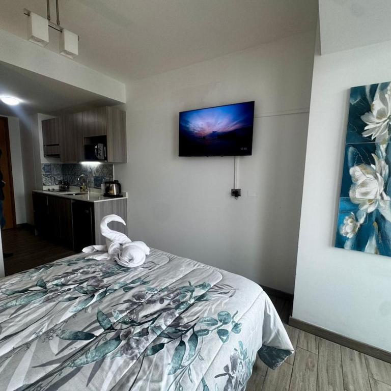Depto céntrico y acogedor - Pet friendly - Apartamento de 1 dormitorio - 1