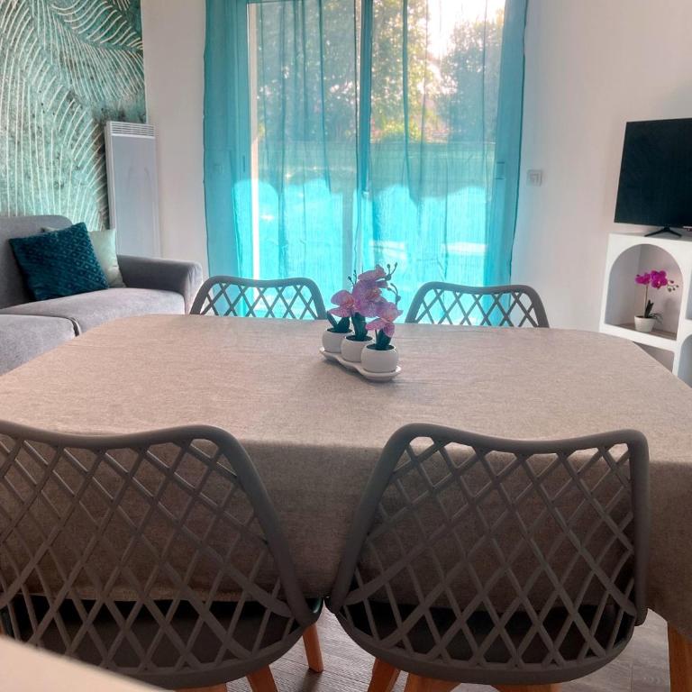 Appt 2 chambres, terrasse, parking, linge inclus - Appartement 2 Chambres - 4