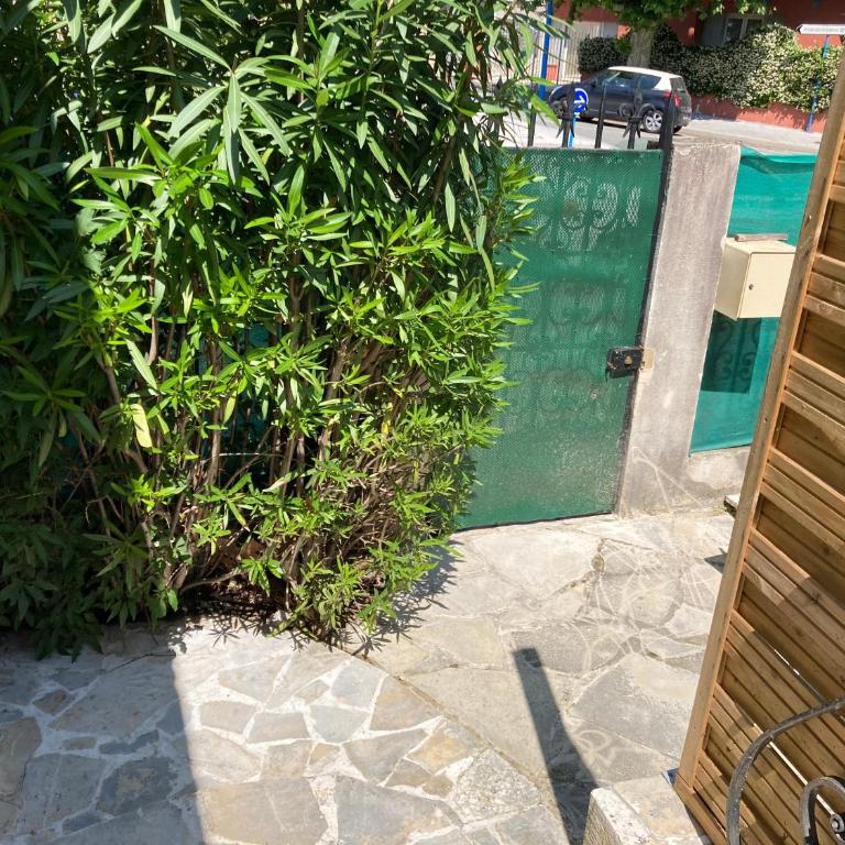 2 room rental in Mandelieu - Appartement 2 Chambres - 1