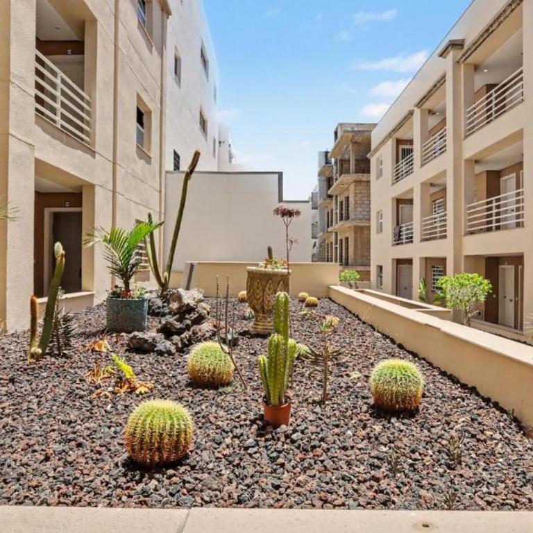 Apartments in Los Cristianos Centre - Appartamento con 1 Camera da Letto - 1