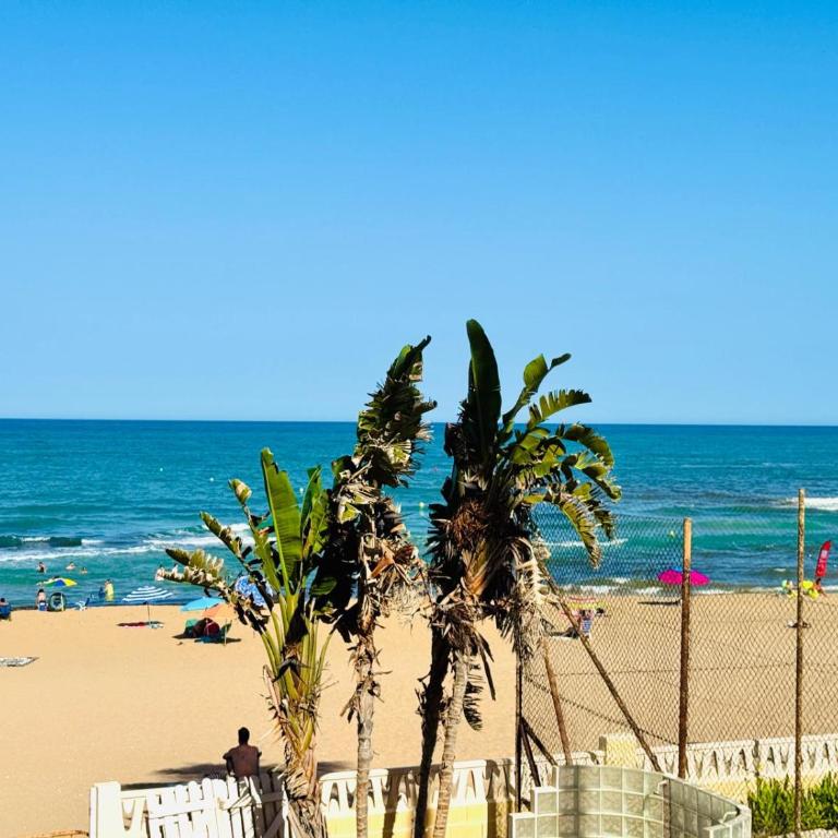 La Mata Beachfront Apartment with Sea View and Pool - Apartamento - 3