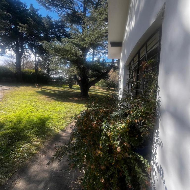 Casa campo - Three-Bedroom House - 3