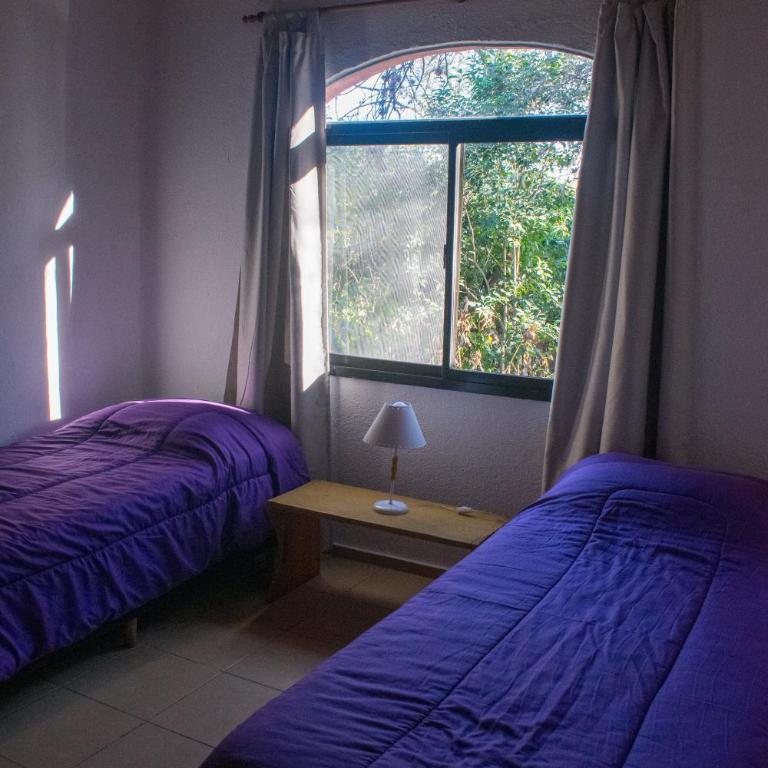 Casa Armonía - Two-Bedroom Apartment - 13