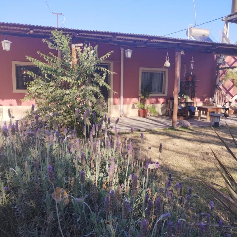 Casa quinta Los Teros - Casa de 2 dormitorios - 16