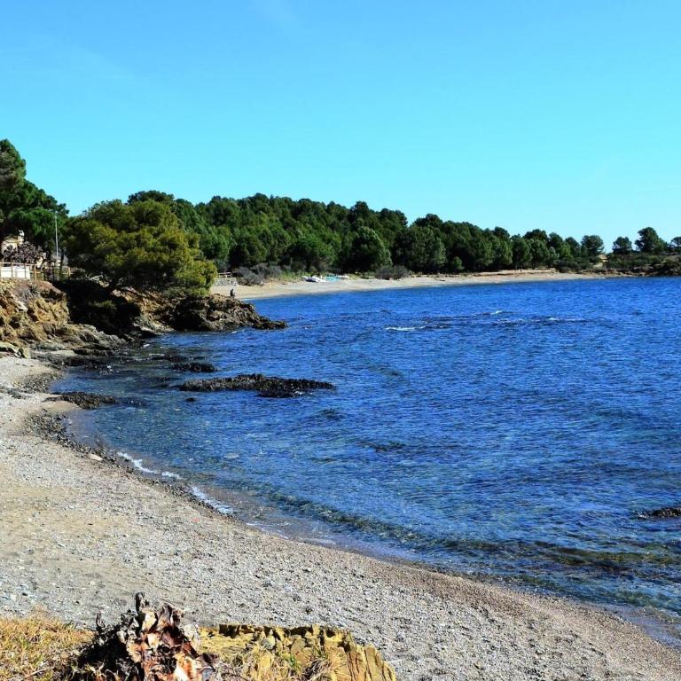 Apartamento reformado con jardín y terraza frente al mar en Cap Ras, cerca de Llançà, acepta mascotas - ES-170-29 - Appartement - 10