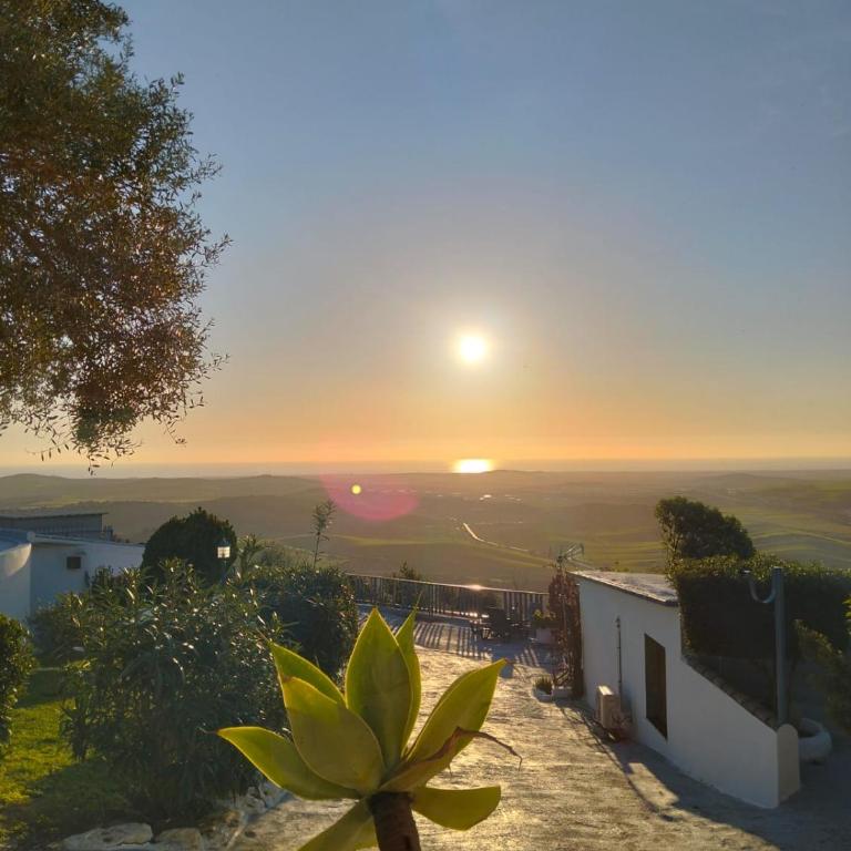Poniente Vejer - Familien-Apartment mit 2 Schlafzimmern - 13