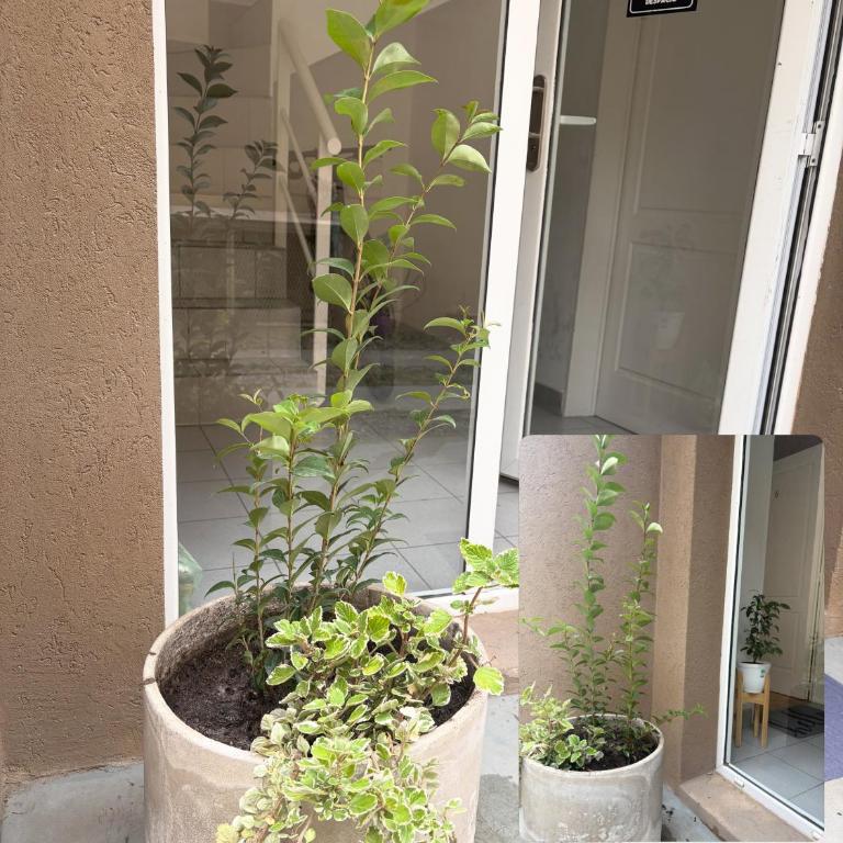 Aires de casa Tandil - Apartamento de 2 dormitorios - 2