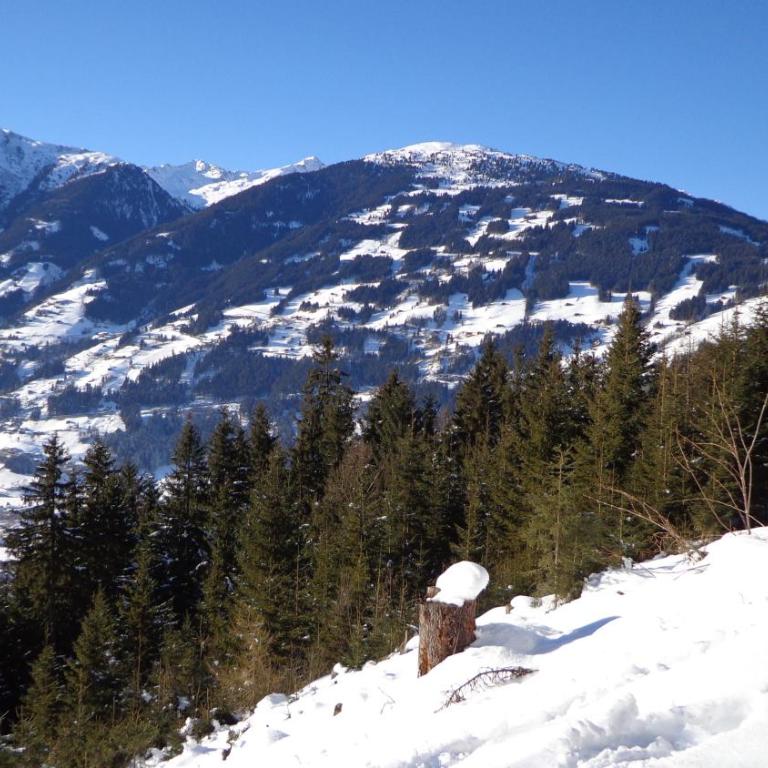 Flörl - Appartamento con Vista Montagna - 21