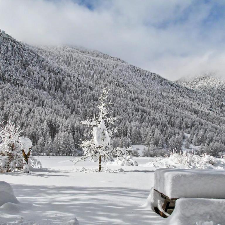Le troll chalet familial vue sur vallée et ski à proximité - Chalet - 21