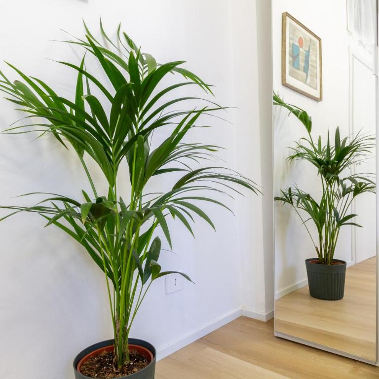 Casa Dami - Appartamento con 1 Camera da Letto - 30