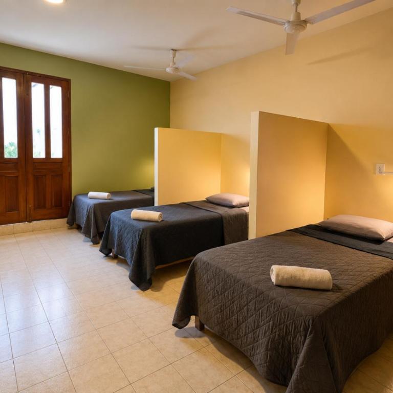 Hostal Central Oaxaca - Cama individual en habitación compartida - 4 camas - 3