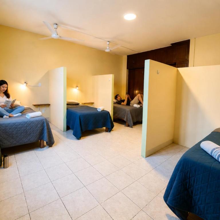 Hostal Central Oaxaca - Cama individual en habitación compartida - 4 camas - 2