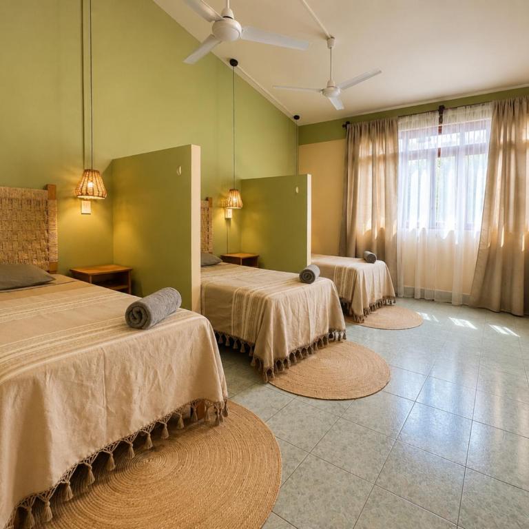 Hostal Central Oaxaca - Cama individual en habitación compartida - 4