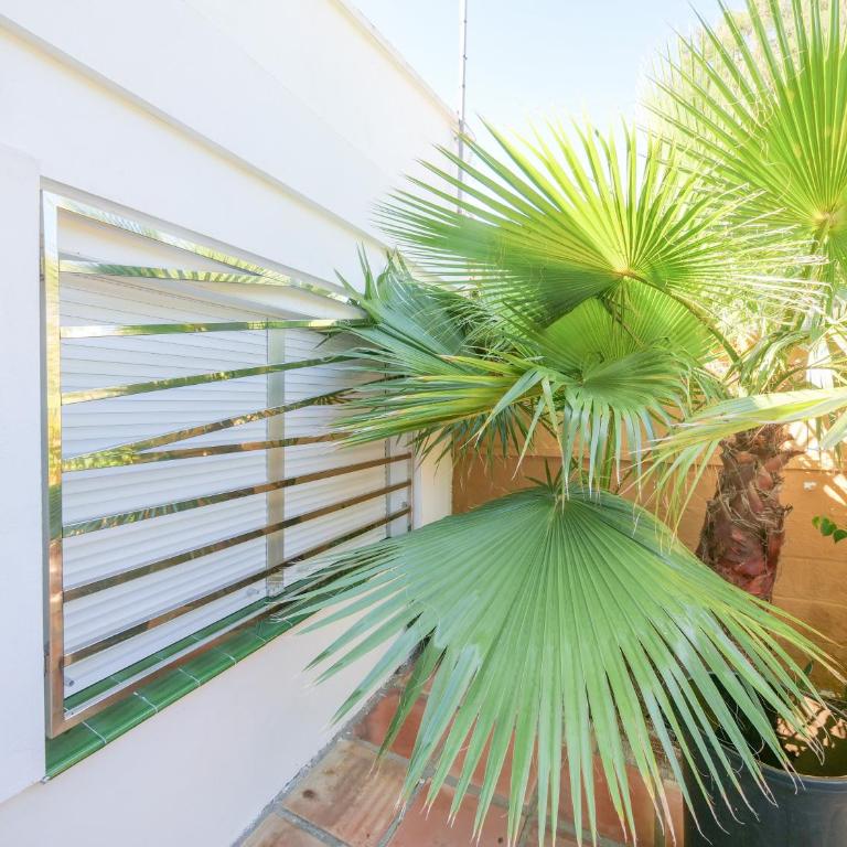 Chalet La Caballa Playa la Barrosa - Casa Vacanze - 60