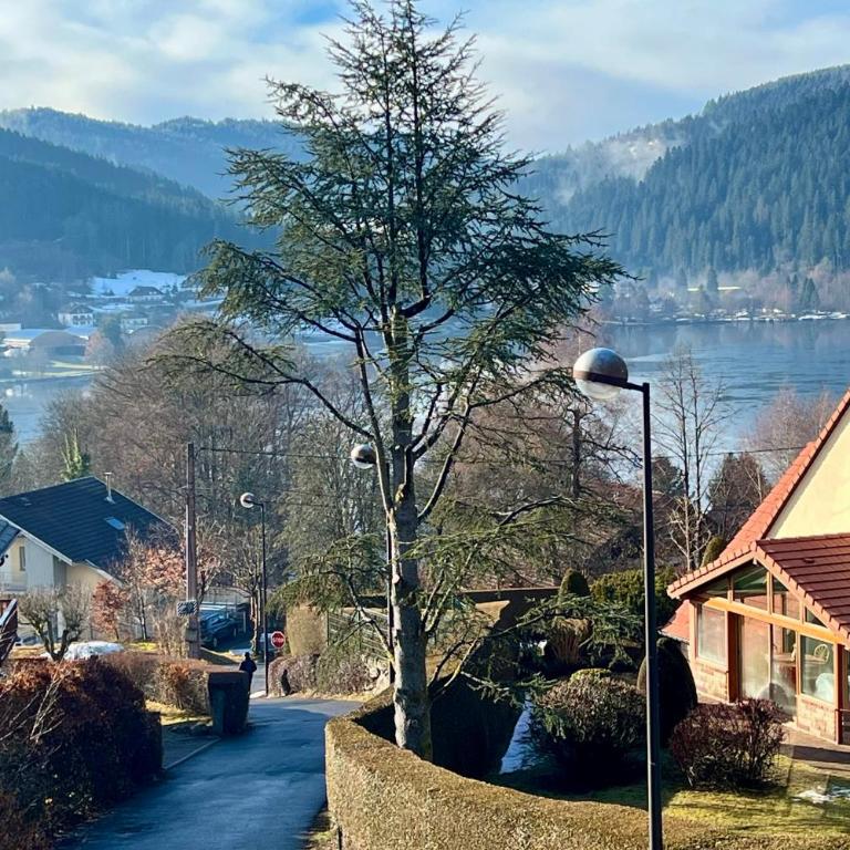 Cozy apartment with lake view - Apartamento - 68