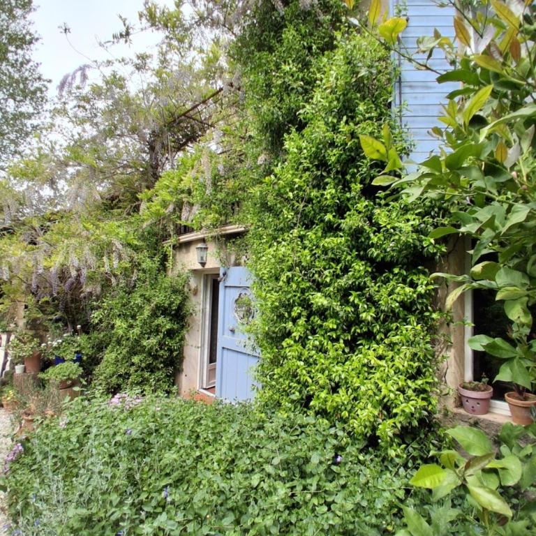 MAS DU MOULIN Chambre d'hôtes Via Rhôna - Chambre Double - Vue sur Jardin - 2