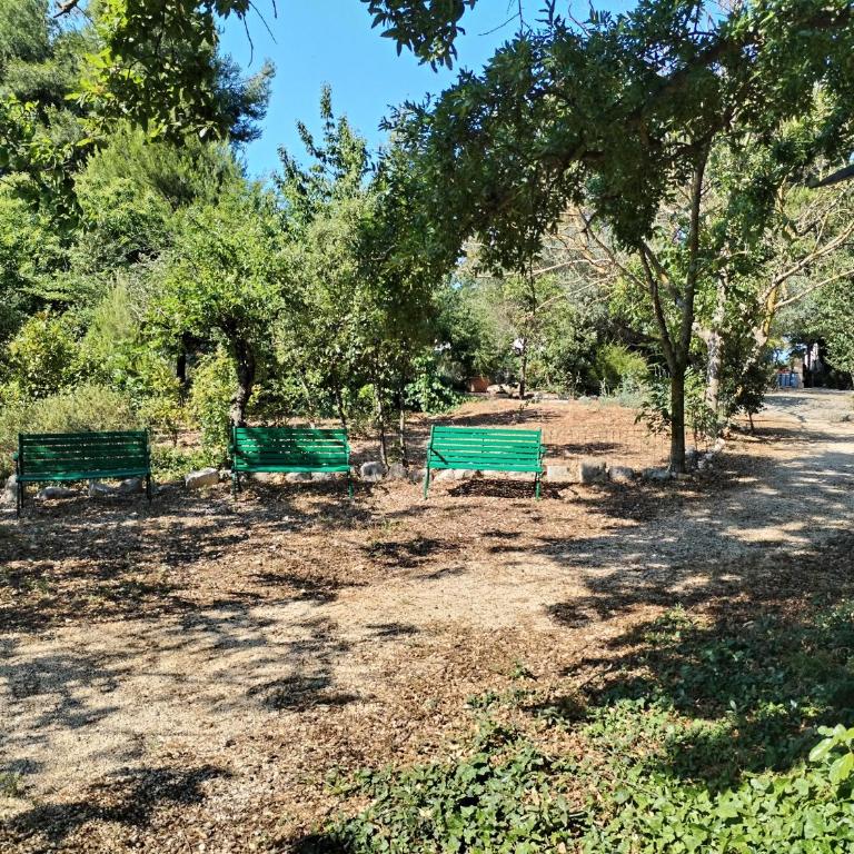 Trulli con piscina privata - Casa con 4 camere da letto - 46