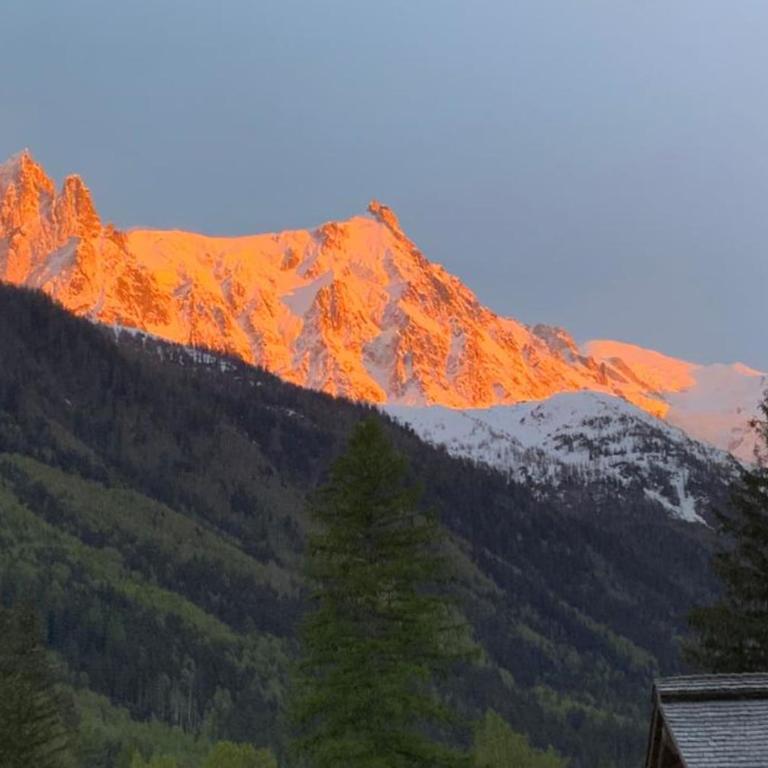 Chalet with breathtaking views of Mont Blanc - Chalet - 25