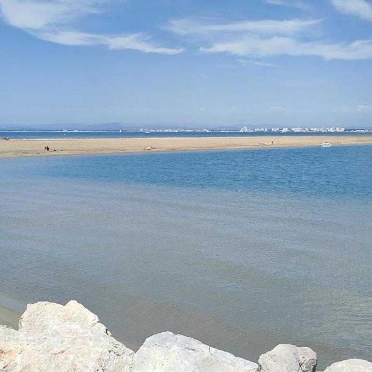 Port Camargue, 5 pers, 350 m plage, grande terrasse plein sud, chambre séparée - Appartamento con 2 Camere da Letto - 18