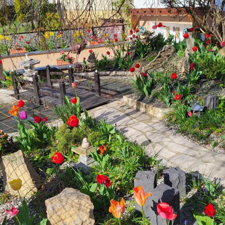 Studio Colmar avec jardin privatif - Apartamento de 1 dormitorio - 16