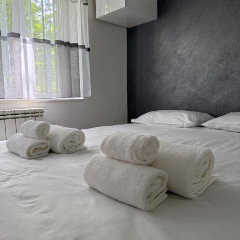 Quart Apartment Sarajevo FREE parking - Apartman sa 1 Spavaćom Sobom - 22