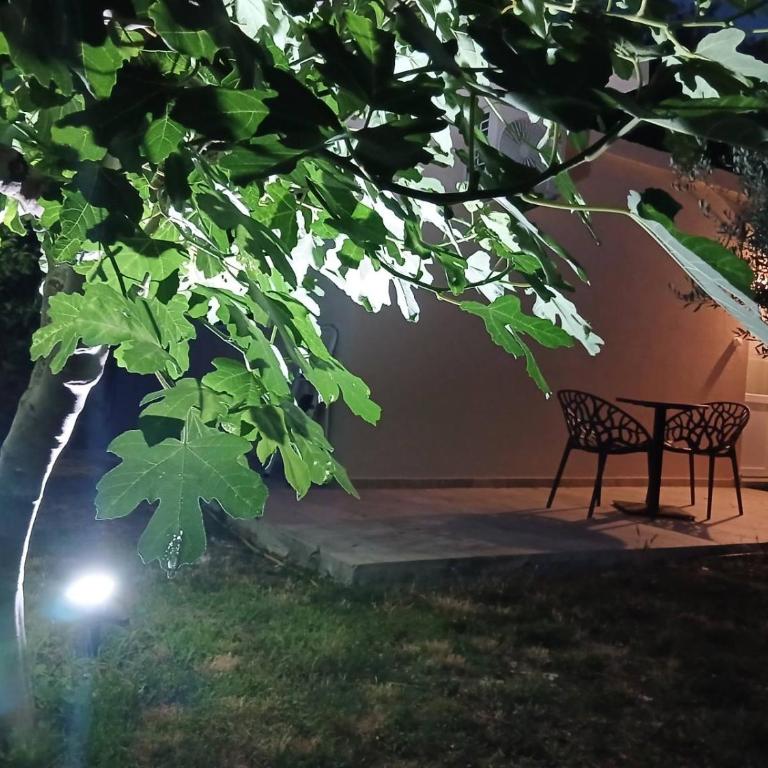 Studio Verde with swimming pool - Studio mit Gartenblick - 18