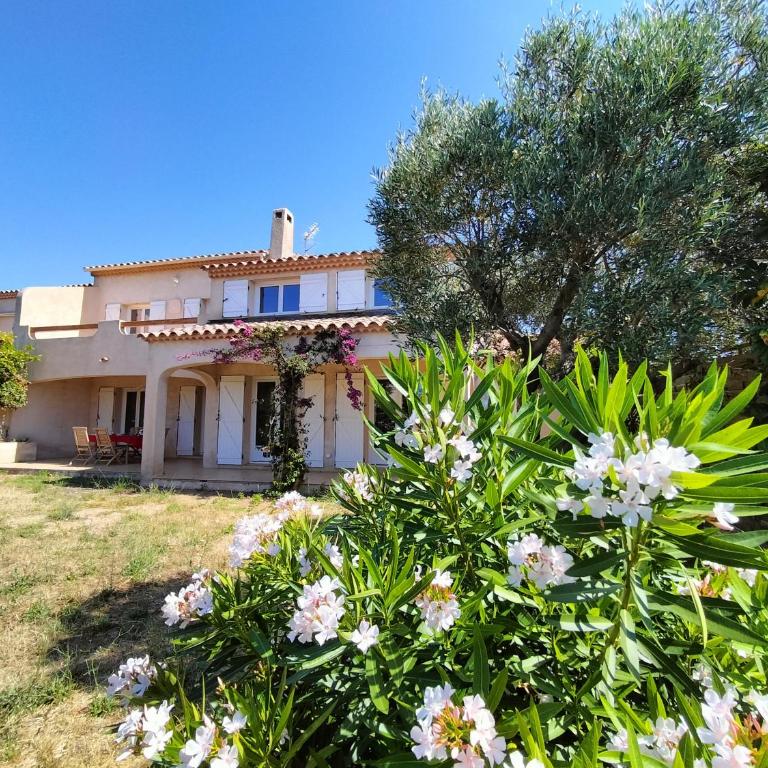 la Maison d'Alfred - Villa - 9