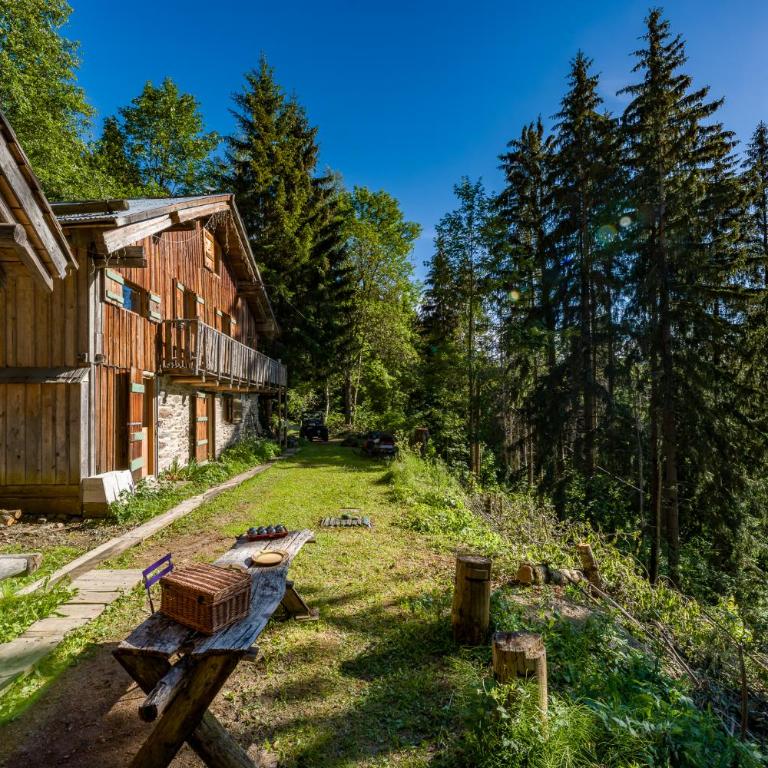 Chalet F'net chalet de charme stylish cosy insolite - Chalet 2 Chambres - 51