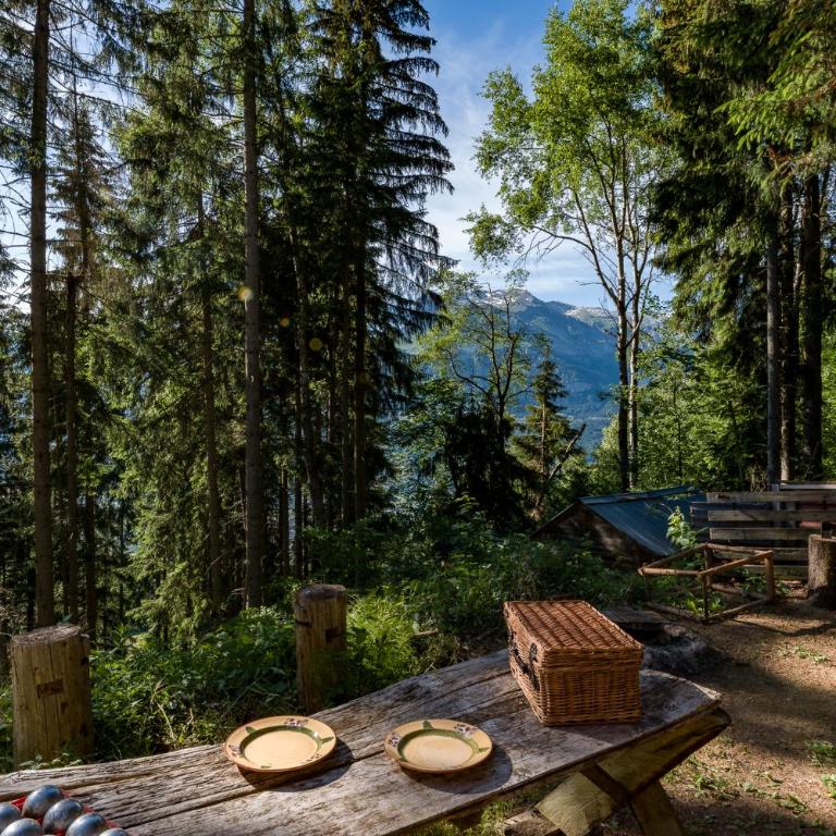 Chalet F'net chalet de charme stylish cosy insolite - Chalet 2 Chambres - 57