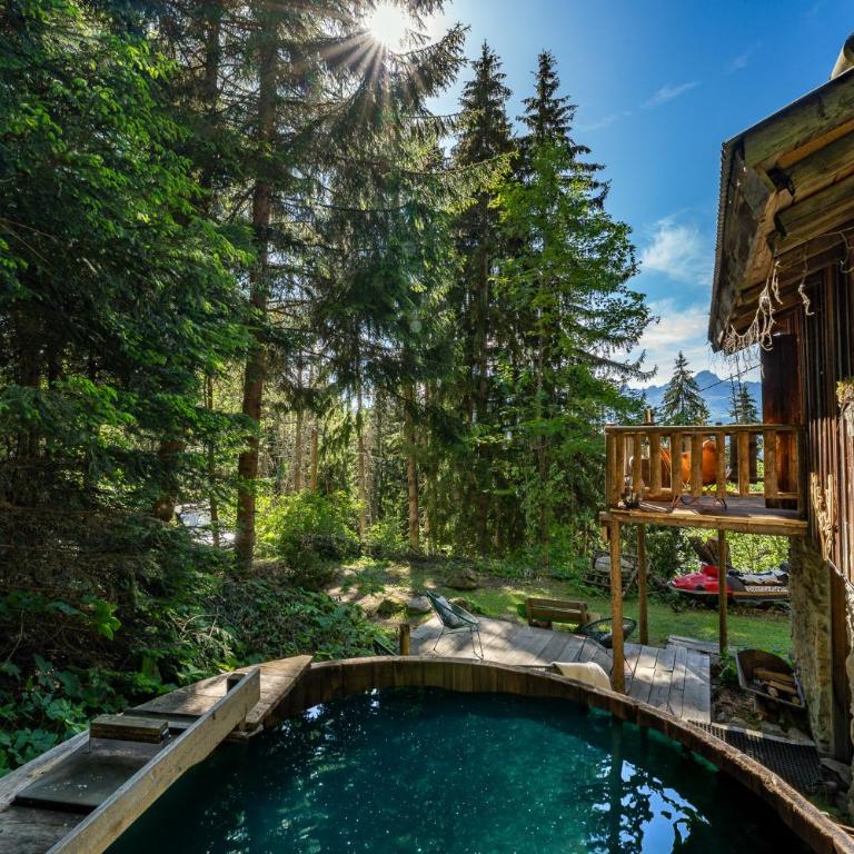 Chalet F'net chalet de charme stylish cosy insolite - Chalet 2 Chambres - 61