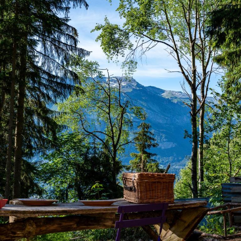 Chalet F'net chalet de charme stylish cosy insolite - Chalet 2 Chambres - 77
