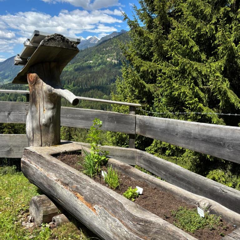 Stroblalm - Chalet mit Panoramablick - Chalet - 45
