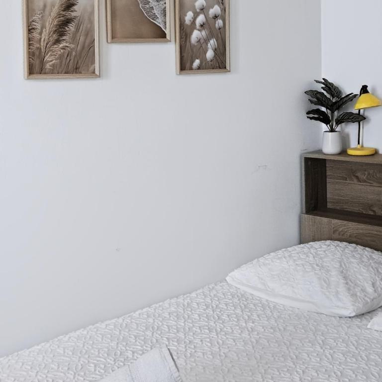 Casa Dax - Centre - Moderne - Linge inclus - Appartement 1 Chambre - 22
