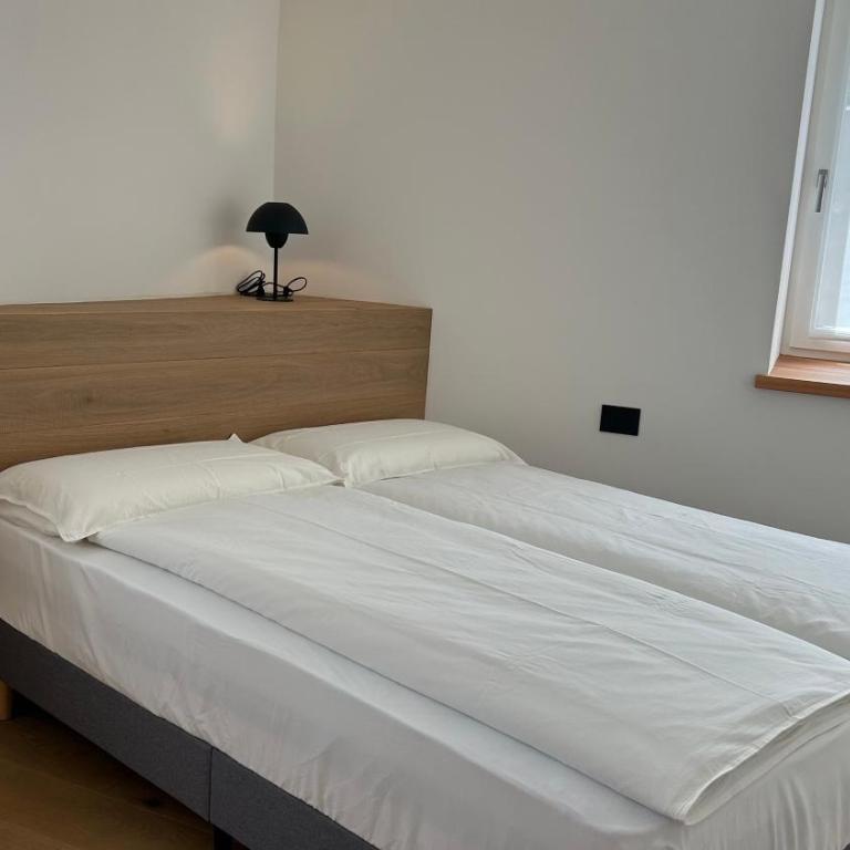 Aria di Fiemme Apartment - Appartamento con 2 Camere da Letto - 22