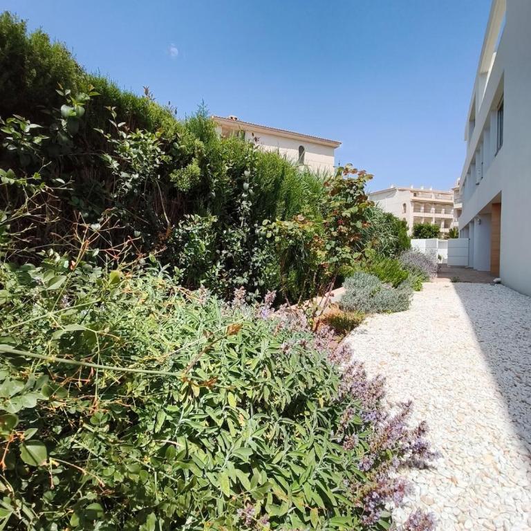 Luxury Beachfront Villa with Pool - Apartamento de 3 dormitorios - 27