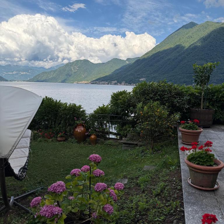 Villino Elena - fantastic Como Lake View & Garden - Appartamento con 1 Camera da Letto - 33